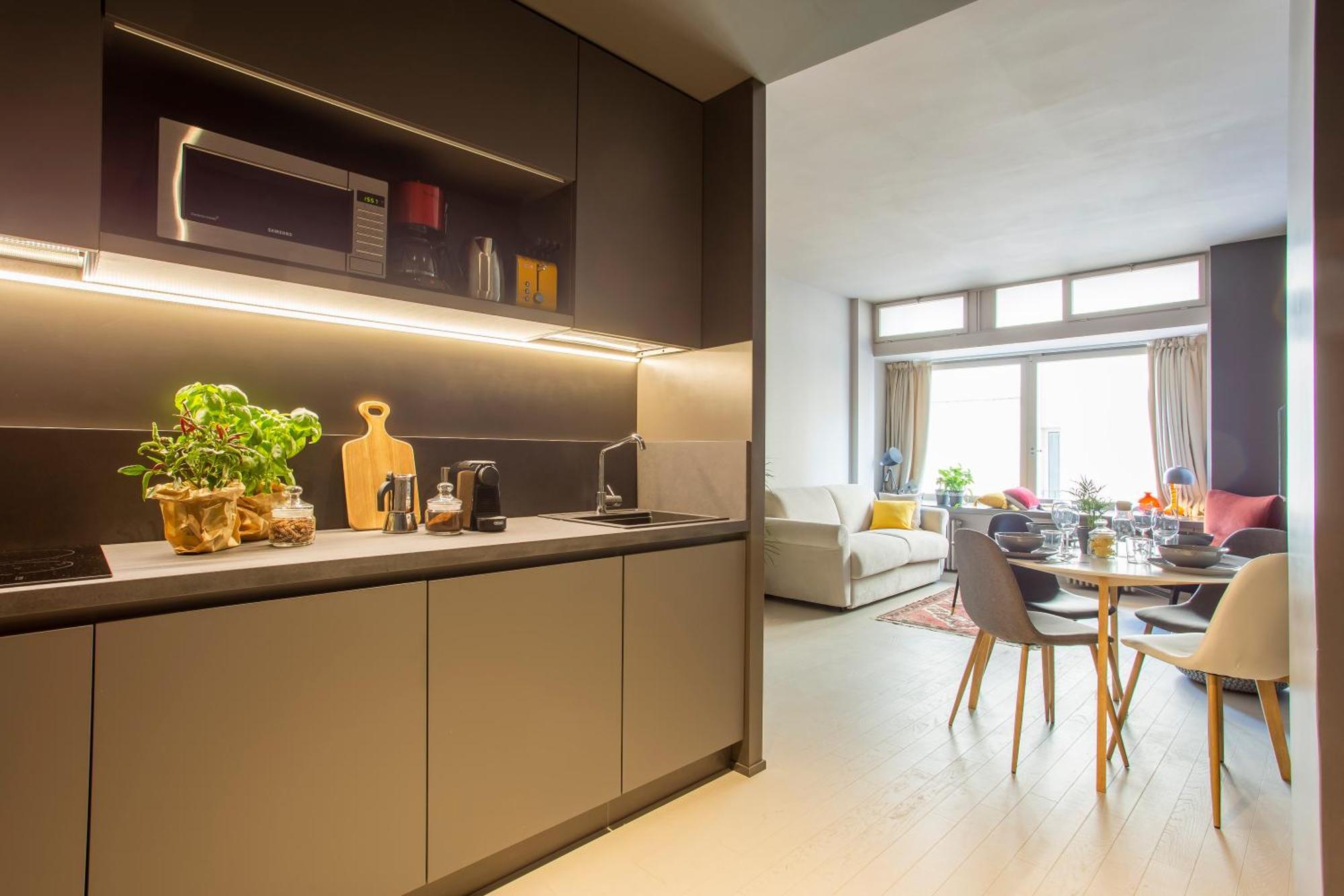 Apartment Grey Loft
